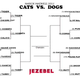 Illustration for article titled Cats vs. Dogs: Ladies And Gents, Meet Your Elite Eight